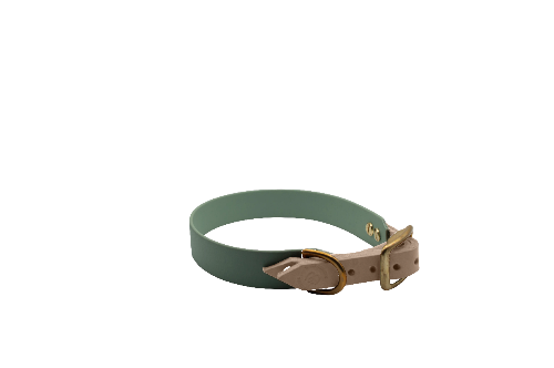 DESIGNSTUDIO | BioThane® Halsband mit Leder | Modell Wilma - Woof Couture
