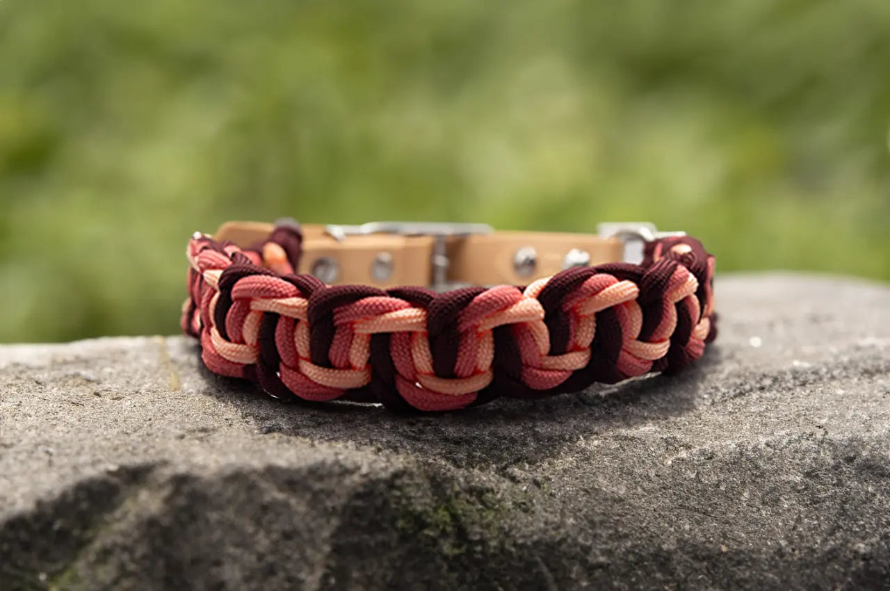 DESIGNSTUDIO | Paracord Halsband mit BioThane® Modell Caro - Woof Couture
