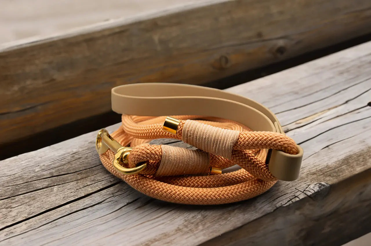 DESIGNSTUDIO | Tauleine mit BioTane® | fest | verschiedene Längen - Woof Couture