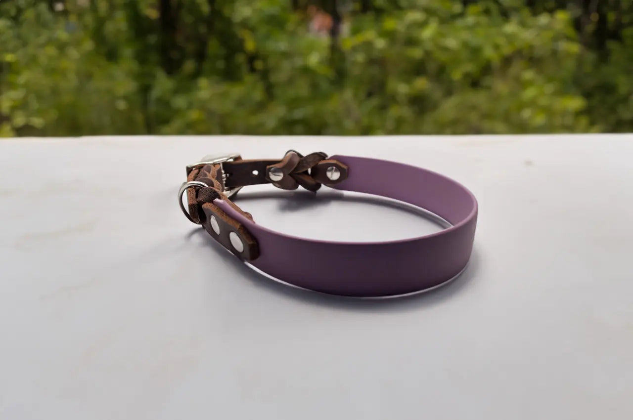 DESIGNSTUDIO | BioThane® Halsband mit Leder | Modell Charlotte