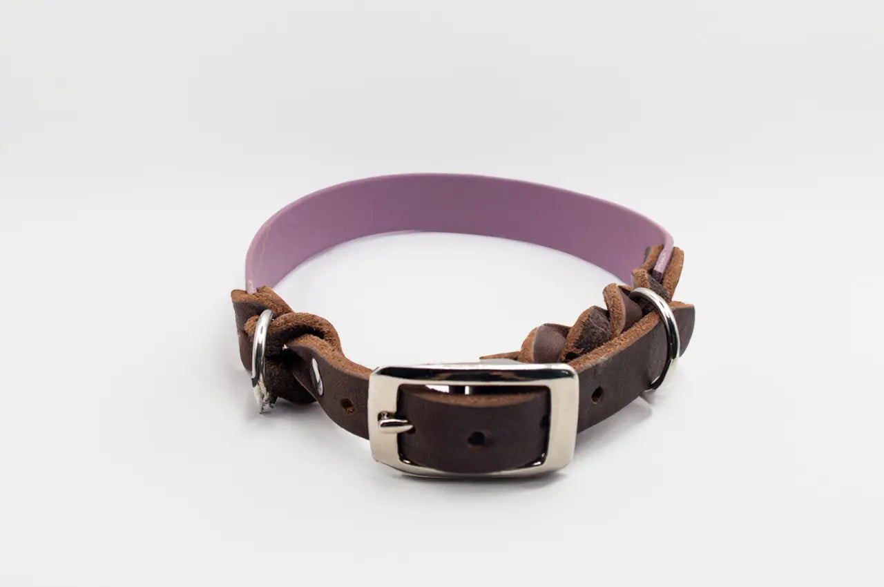 DESIGNSTUDIO | BioThane® Halsband mit Leder | Modell Charlotte