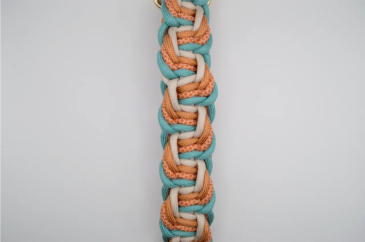 DESIGNSTUDIO | Paracord Halsband mit BioThane® Modell Caro - Woof Couture