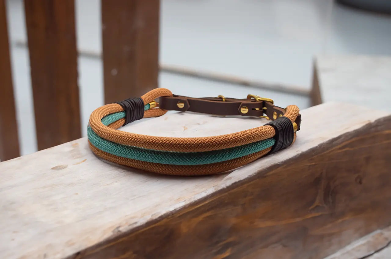 DESIGNSTUDIO | Tau x Leder Halsband | Modell Carlo - Woof Couture