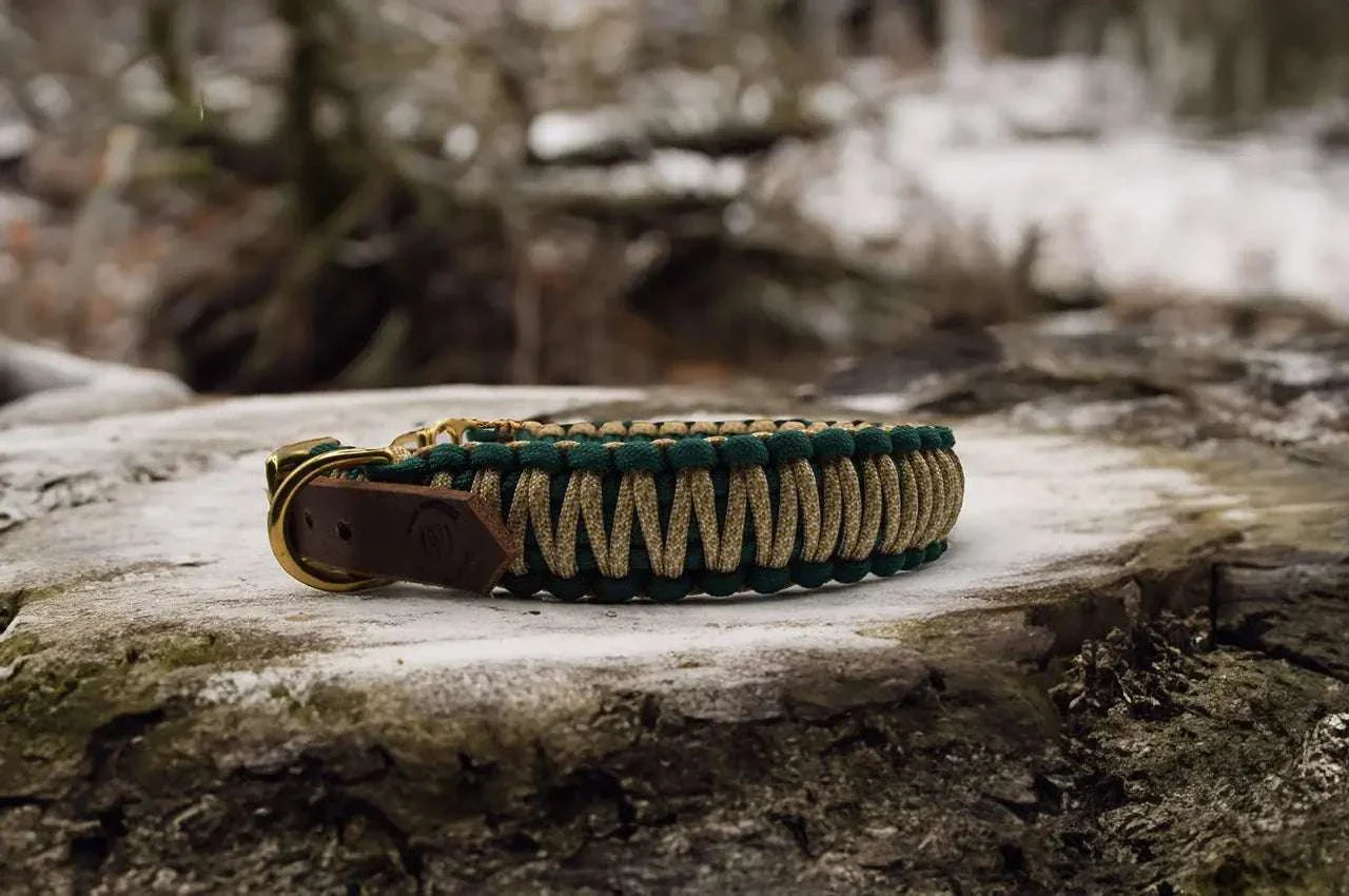 DESIGNSTUDIO | Paracord Halsband | Modell Carla - Woof Couture