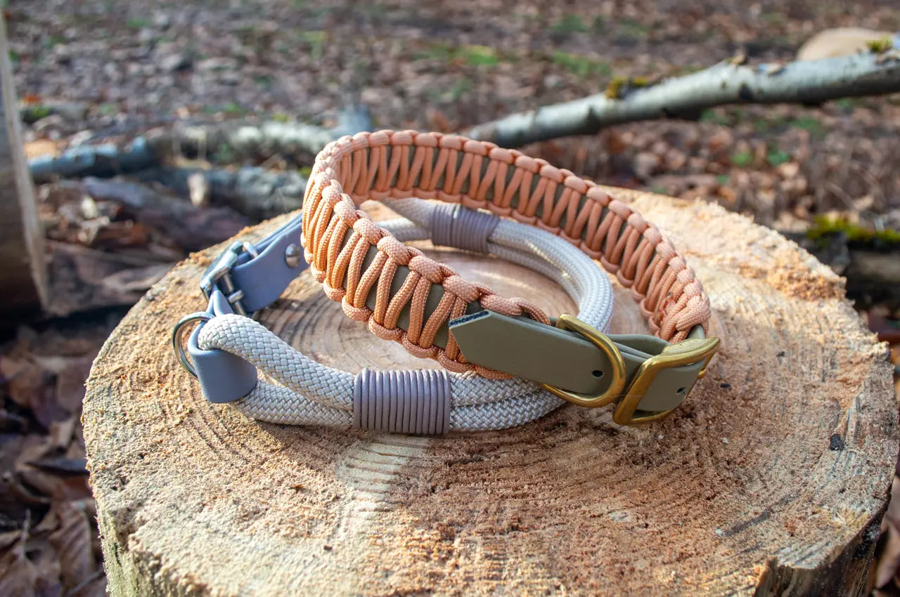 DESIGNSTUDIO | BioThane® Halsband mit Paracord | Modell Clara - Woof Couture