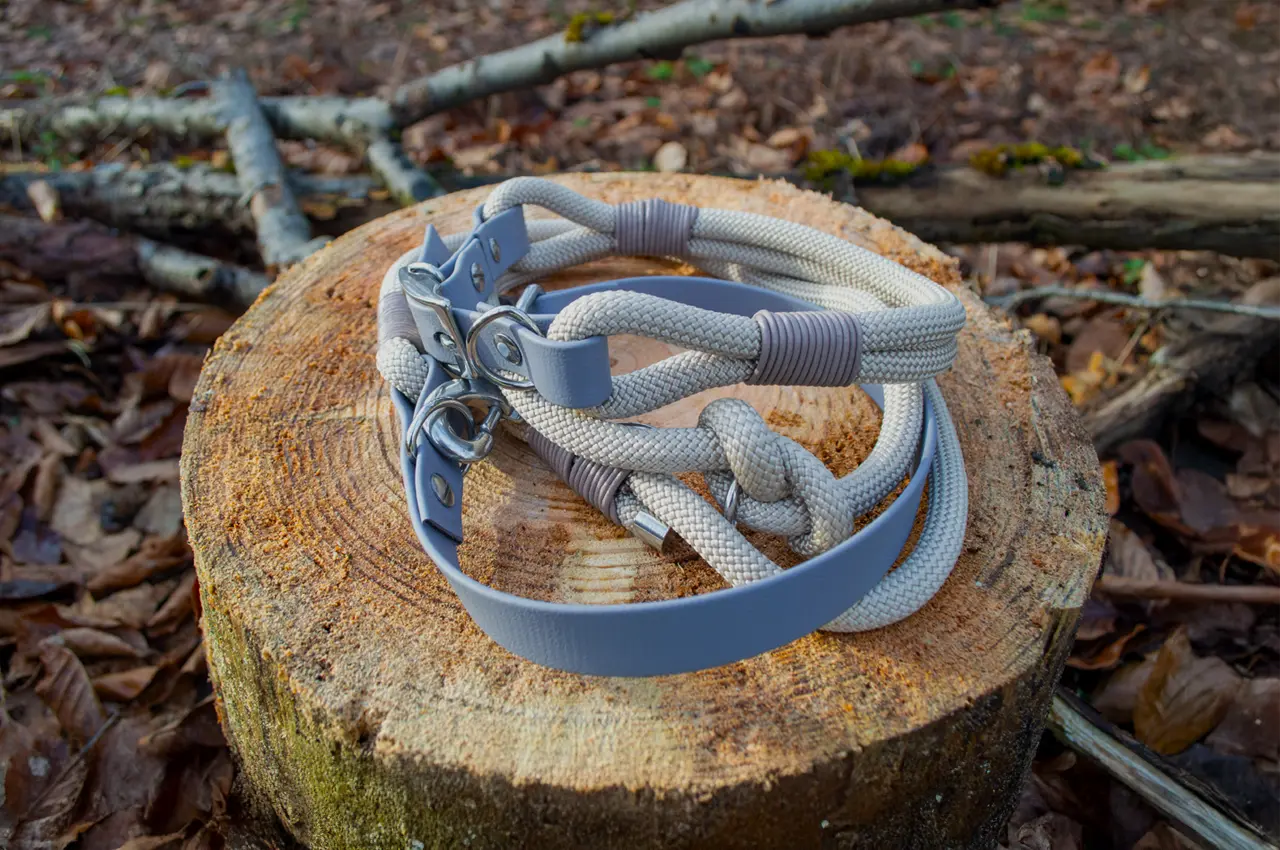 DESIGNSTUDIO | Tau Halsband mit BioThane® Adapter | Modell Colin - Woof Couture
