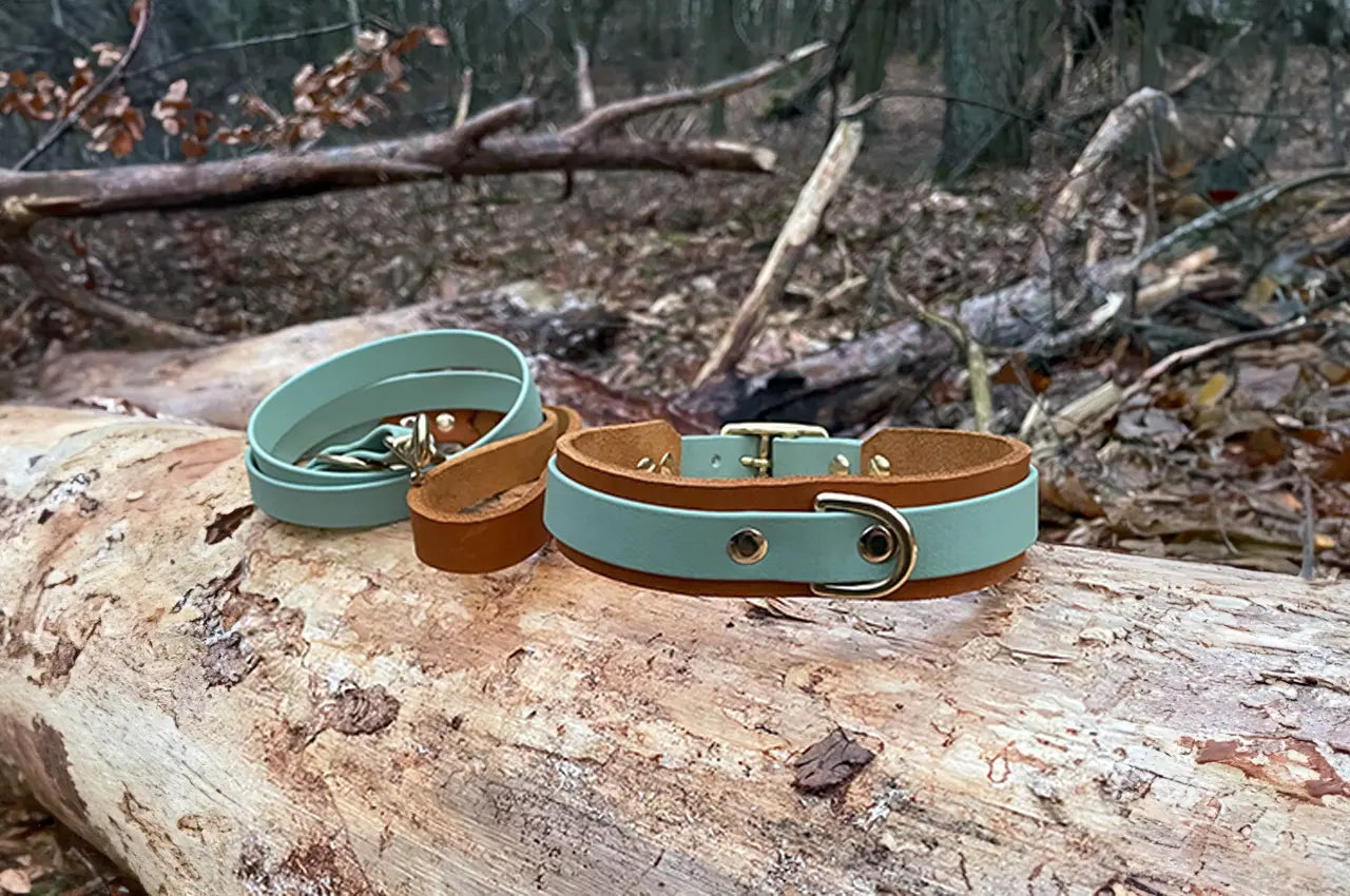 DESIGNSTUDIO | Leder Halsband x BioThane® | Modell Carlos - Woof Couture
