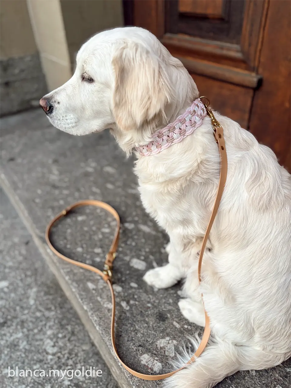 DESIGNSTUDIO | BioThane® Leine | verstellbar | verschiedene Längen - Woof Couture