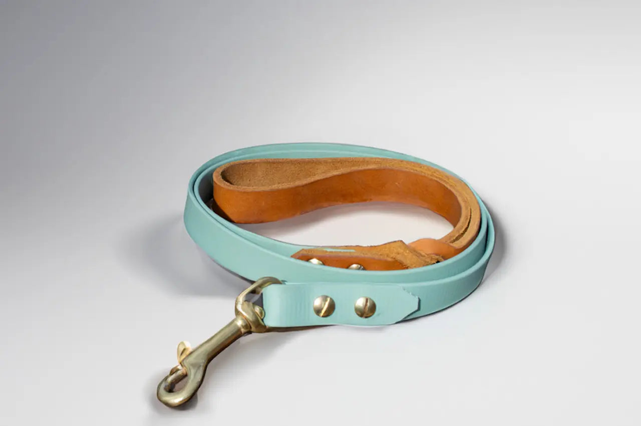 DESIGNSTUDIO | Hundeleine BioThane® x Leder | fest - Woof Couture
