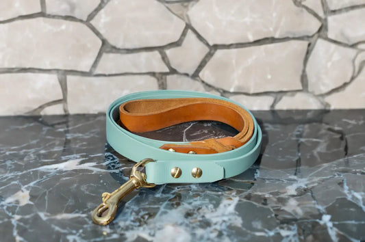 DESIGNSTUDIO | Hundeleine BioThane® x Leder | fest - Woof Couture