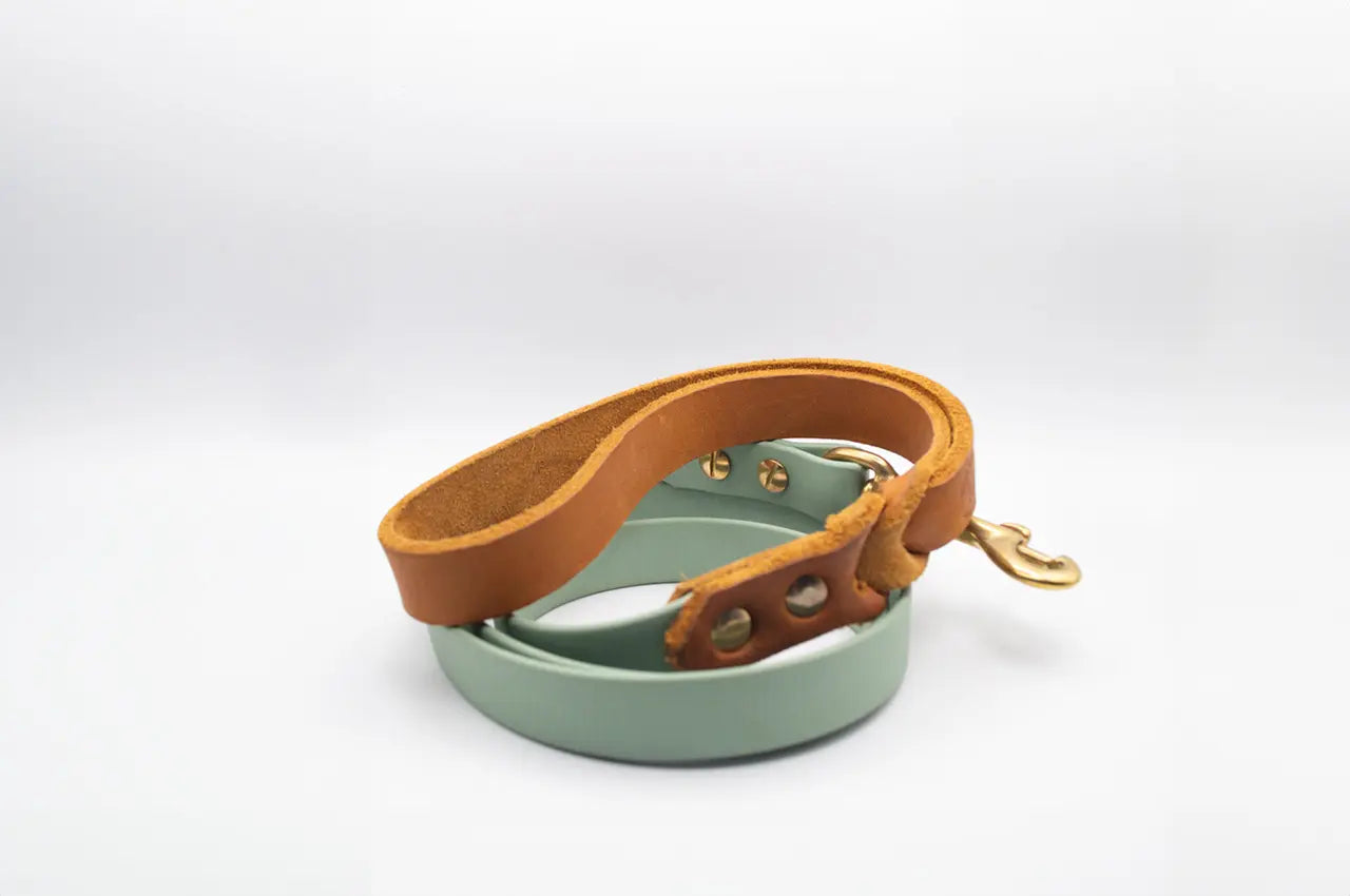 DESIGNSTUDIO | Hundeleine BioThane® x Leder | fest - Woof Couture