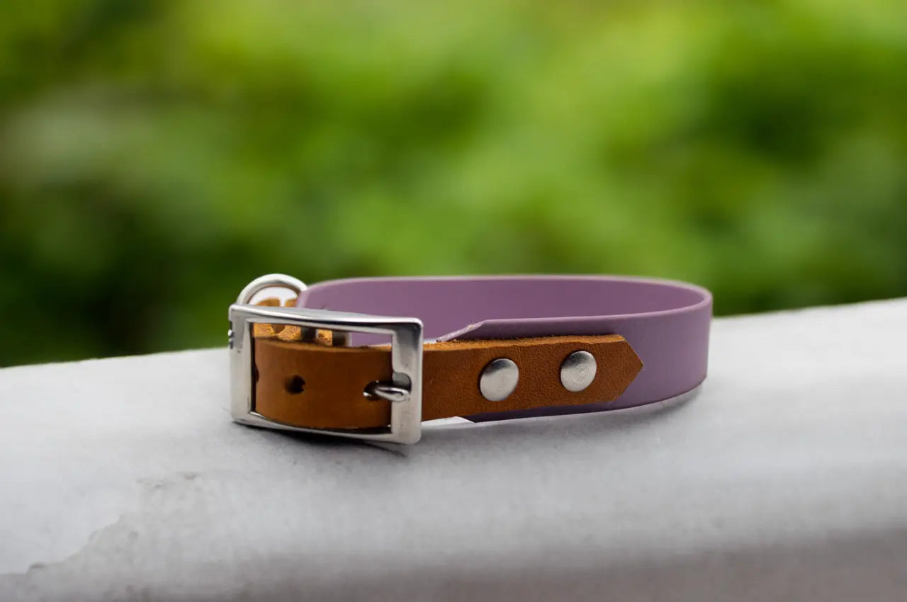 DESIGNSTUDIO | BioThane® Halsband mit Leder | Modell Wilma - Woof Couture