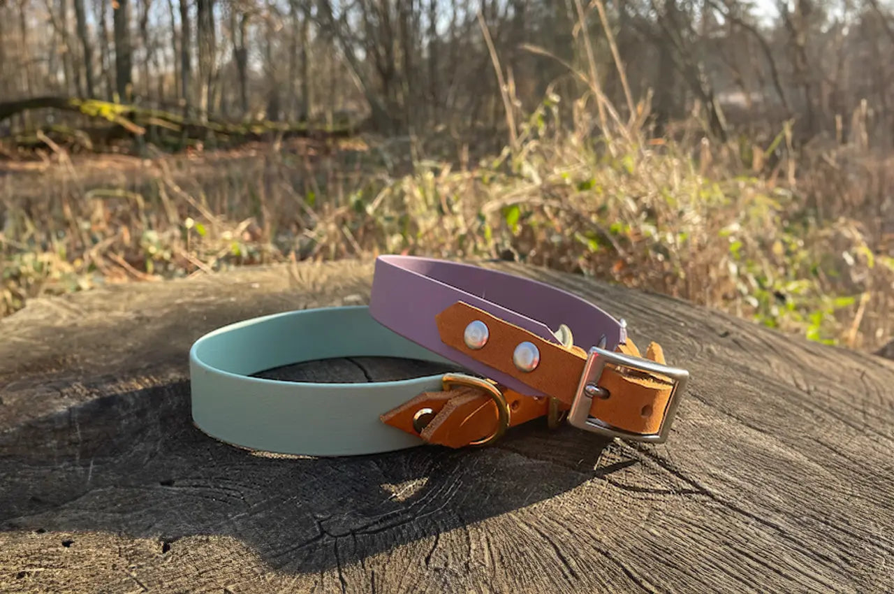 DESIGNSTUDIO | BioThane® Halsband mit Leder | Modell Wilma - Woof Couture