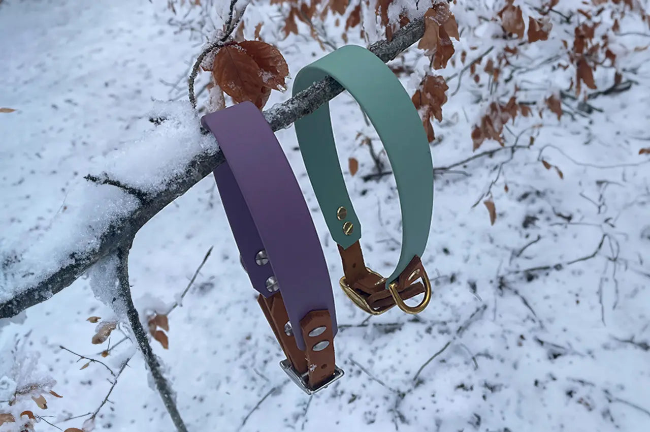 DESIGNSTUDIO | BioThane® Halsband mit Leder | Modell Wilma - Woof Couture