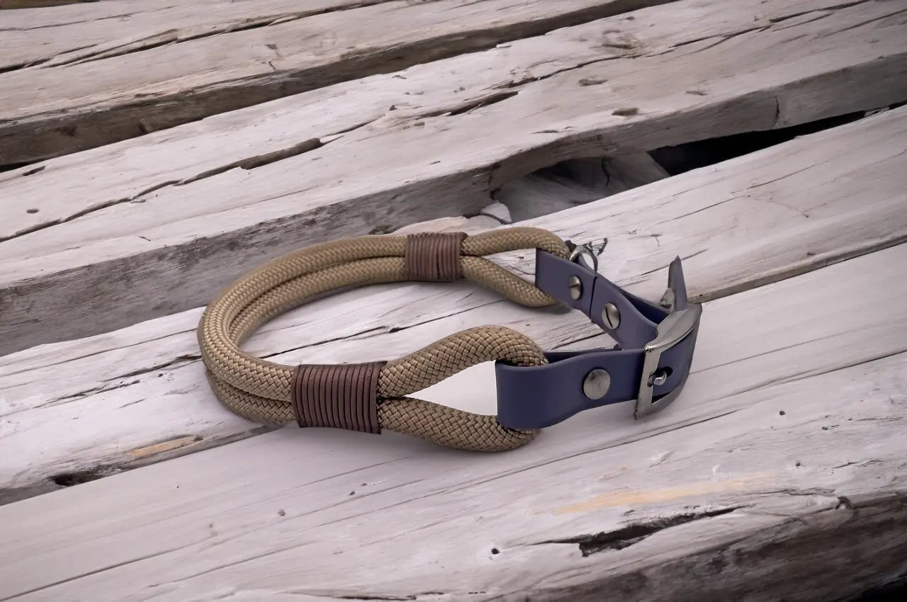 DESIGNSTUDIO | Tau Halsband mit BioThane® Adapter | Modell Colin - Woof Couture