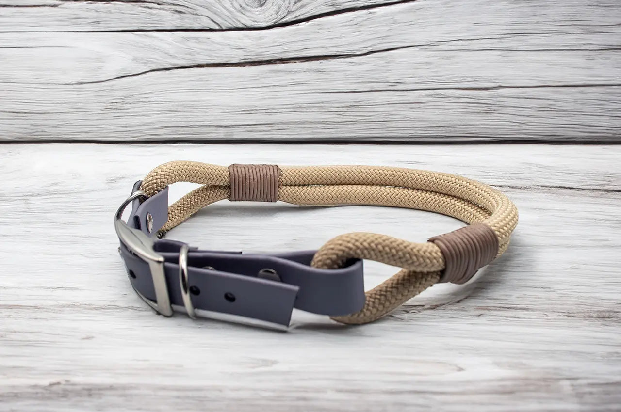 DESIGNSTUDIO | Tau Halsband mit BioThane® Adapter | Modell Colin - Woof Couture