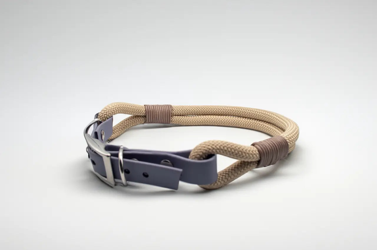 DESIGNSTUDIO | Tau Halsband mit BioThane® Adapter | Modell Colin - Woof Couture