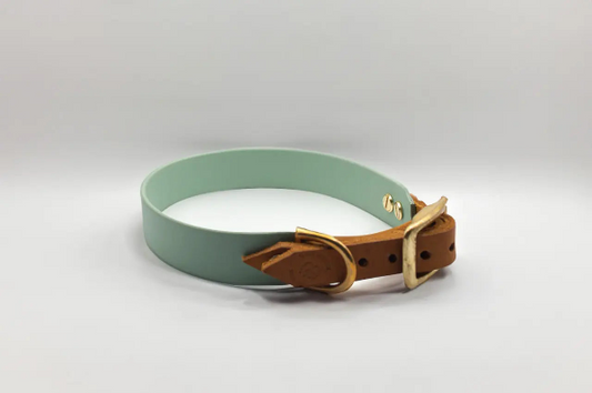 Modell Wilma | BioThane® x Leder Halsband | Salbeigrün - Woof Couture