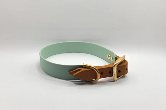 Modell Wilma | BioThane® x Leder Halsband | Salbeigrün - Woof Couture