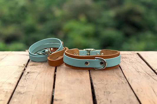 DESIGNSTUDIO | Leder Halsband x BioThane® | Modell Carlos
