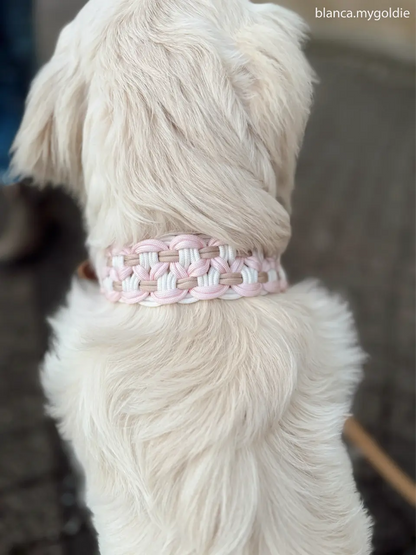 DESIGNSTUDIO | Paracord Halsband x Leder | Modell Charlotta