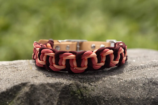 DESIGNSTUDIO | Paracord Halsband mit BioThane® Modell Caro