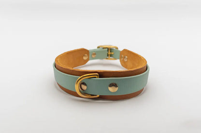 DESIGNSTUDIO | Leder Halsband x BioThane® | Modell Carlos