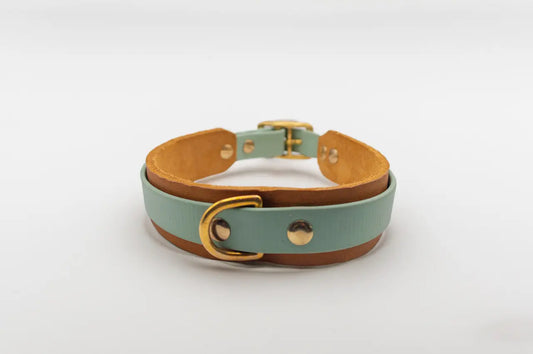 Modell Carlos | BioThane® x Leder Halsband