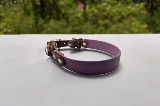 DESIGNSTUDIO | BioThane® Halsband mit Leder | Modell Charlotte