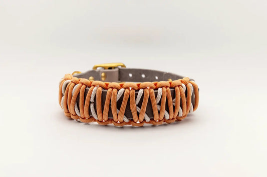 Modell Wiebke | Paracord x Leder Halsband