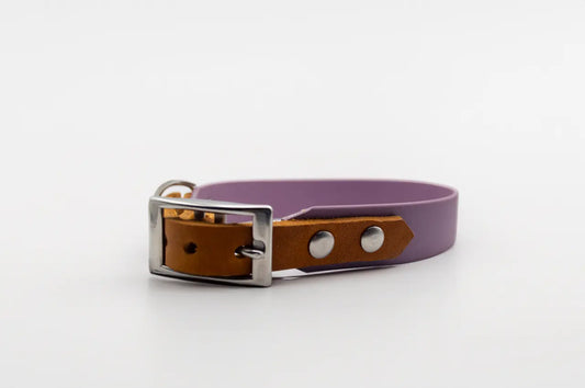 Modell Wilma | BioThane® x Leder Halsband | Marvelous Mauve