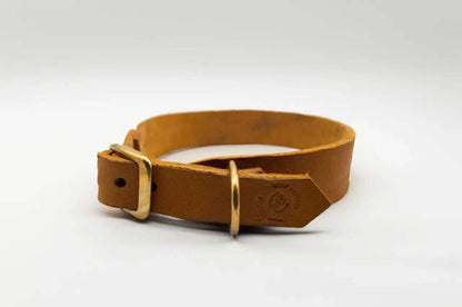 Modell Winnfried | Leder Halsband