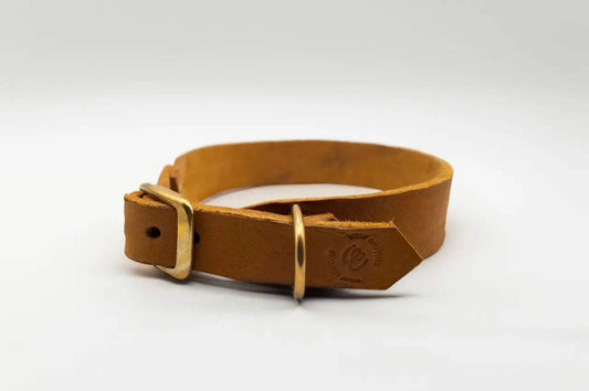 Modell Winnfried | Leder Halsband