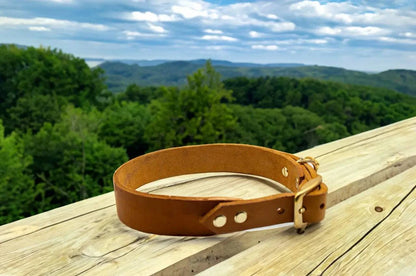 Modell Winnfried | Leder Halsband