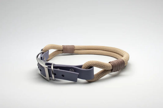 Modell Colin | Tau x BioThane® Halsband