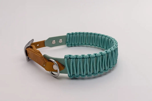 Modell Carl | BioThane® x Paracord & Leder Halsband