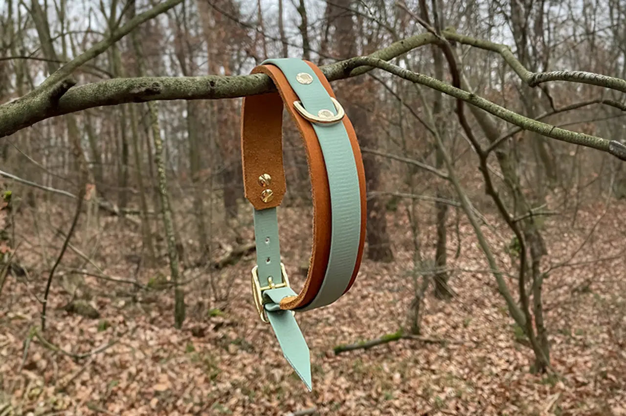 DESIGNSTUDIO | Leder Halsband x BioThane® | Modell Carlos