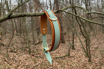 DESIGNSTUDIO | Leder Halsband x BioThane® | Modell Carlos