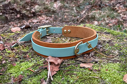 DESIGNSTUDIO | Leder Halsband x BioThane® | Modell Carlos