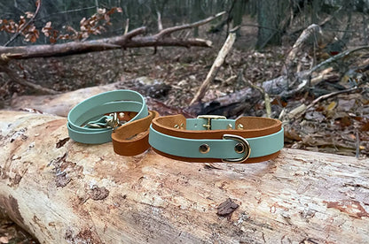DESIGNSTUDIO | Leder Halsband x BioThane® | Modell Carlos