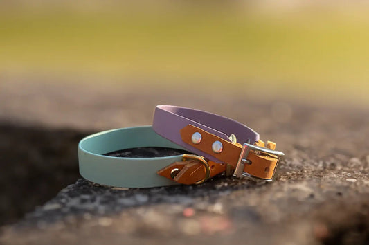 DESIGNSTUDIO | BioThane® Halsband mit Leder | Modell Wilma HALSBÄNDER Woof Couture 