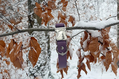 DESIGNSTUDIO | BioThane® Halsband | Modell Cindy HALSBÄNDER Woof Couture 