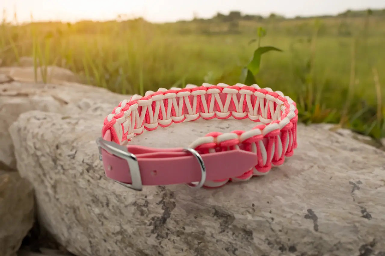 DESIGNSTUDIO | BioThane® mit Paracord | Modell Carmen HALSBÄNDER Woof Couture 