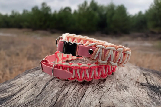 DESIGNSTUDIO | BioThane® mit Paracord | Modell Carmen HALSBÄNDER Woof Couture 