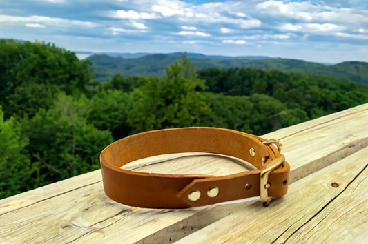 DESIGNSTUDIO | Leder Halsband | Modell Winnfried HALSBÄNDER Woof Couture 