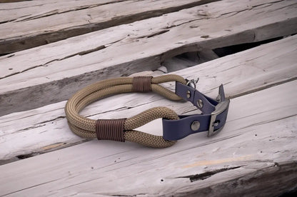 DESIGNSTUDIO | Tau Halsband mit BioThane® Adapter | Modell Colin - Woof Couture